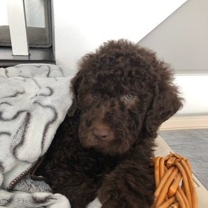 Meet your Posher, Cristina